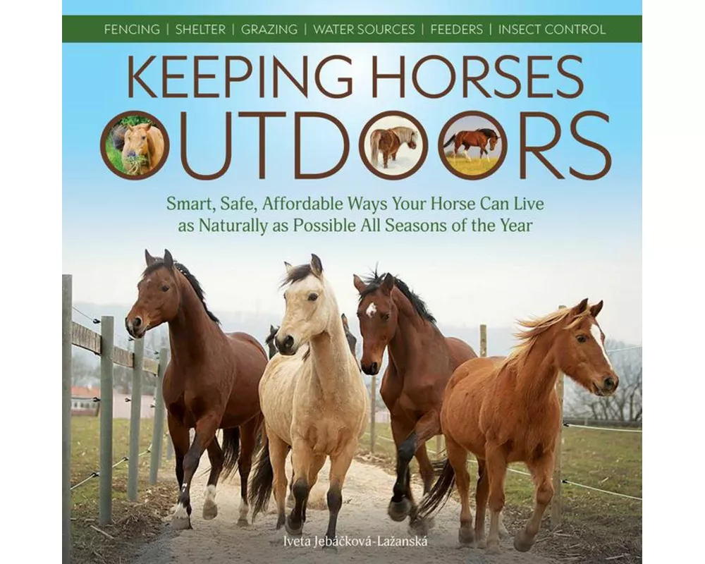 Keeping Horses Outdoors