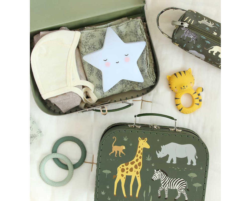 ALLC Kofferset 29x9x20cm SCSAGR24 Savanna