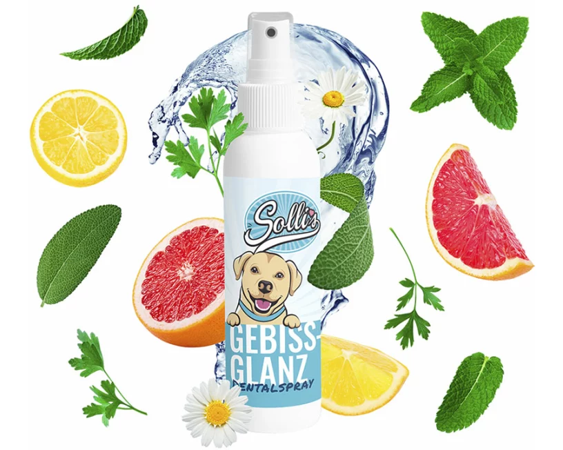 Solli's PM Hund Dentalspray - Gebissglanz
