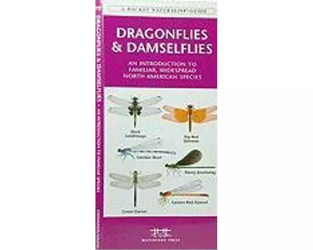 Dragonflies & Damselflies