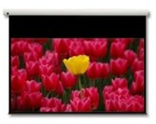 Optoma Panoview DE-9106EGA 269.2 cm (106") Electric Projection Screen