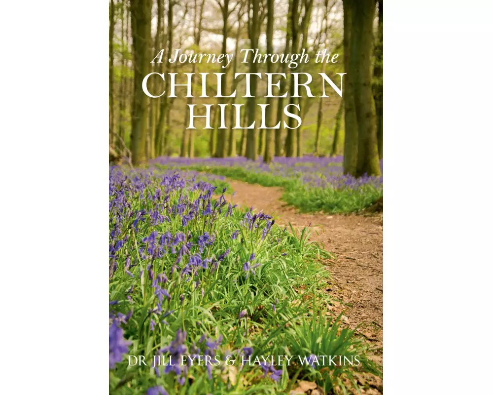 A Journey Through the Chiltern Hills