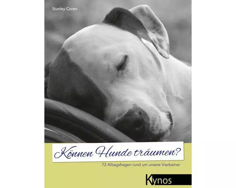 Können Hunde träumen?