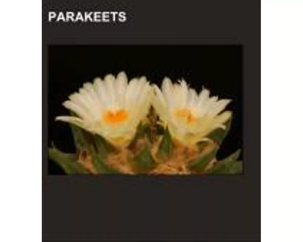 Parakeets