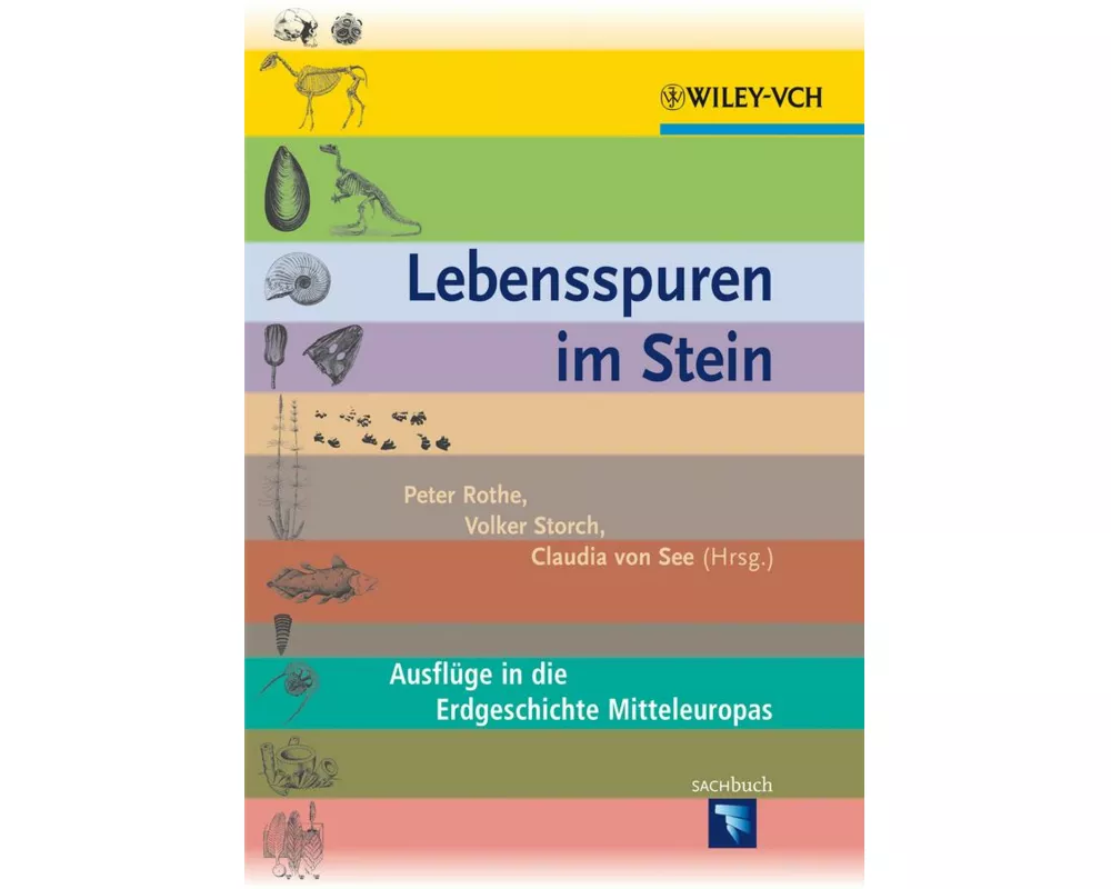 Lebensspuren im Stein