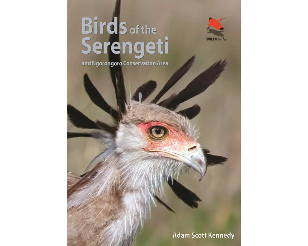 Birds of the Serengeti