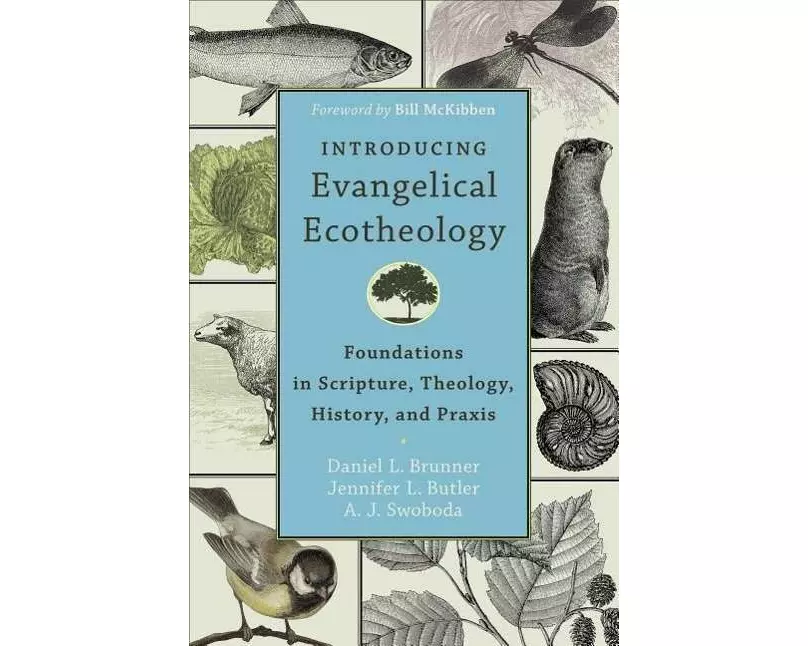 Introducing Evangelical Ecotheology – Foundations in Scripture, Theology, History, and Praxis
