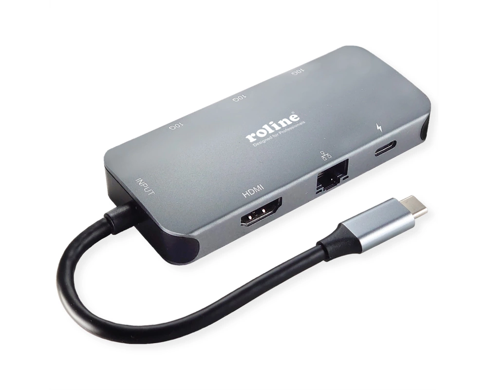 ROLINE USB 3.2 Gen 2 Typ C Multiport Dockingstation, 4K HDMI, LAN