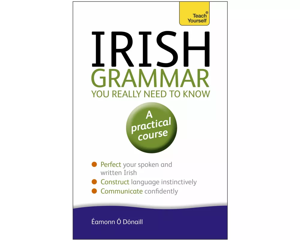 Irish Grammar You Really Need to Know: Teach Yourself