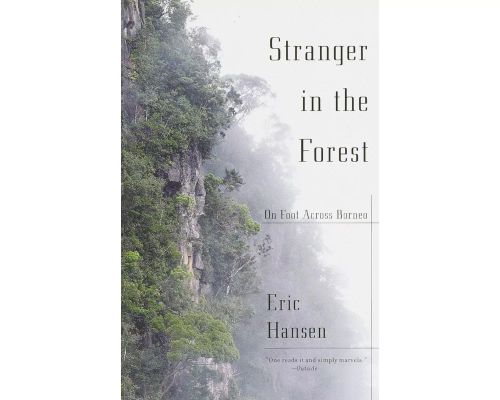 Stranger in the Forest