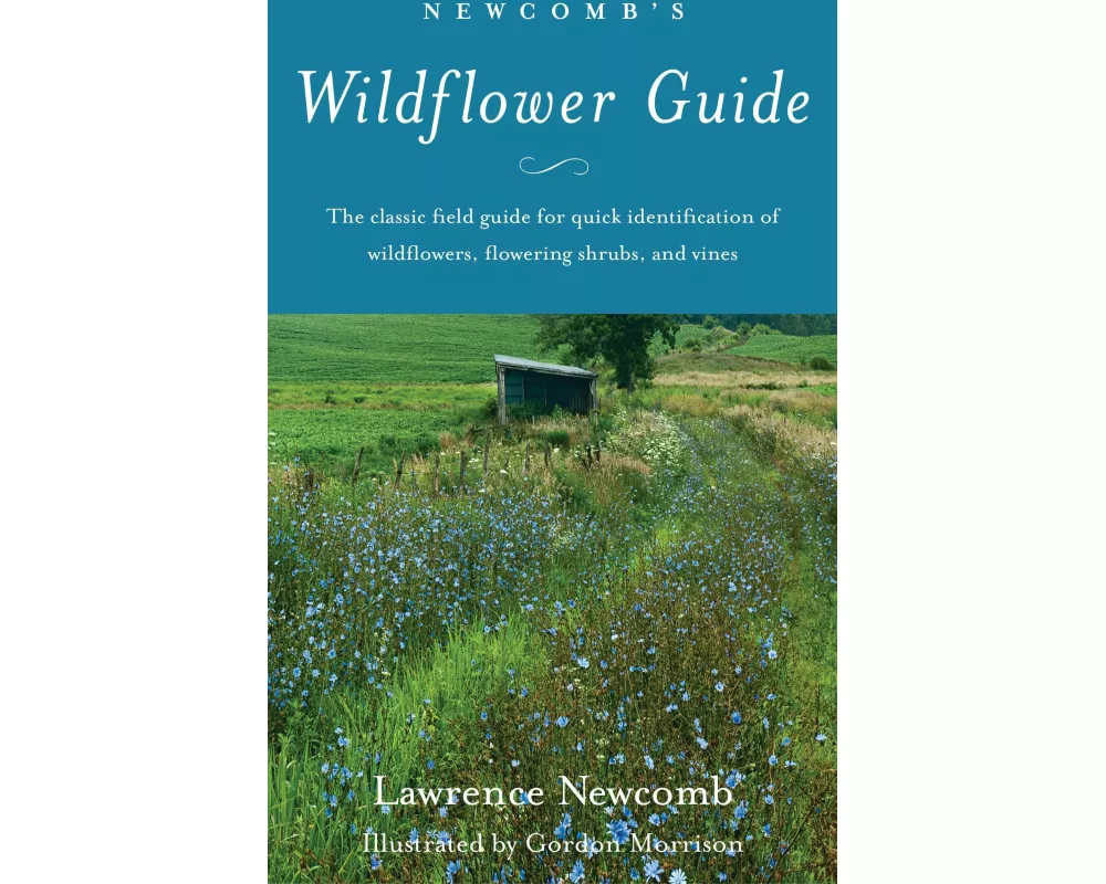 Newcomb's Wildflower Guide