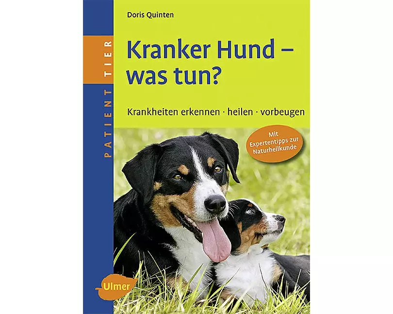 Kranker Hund - was tun?
