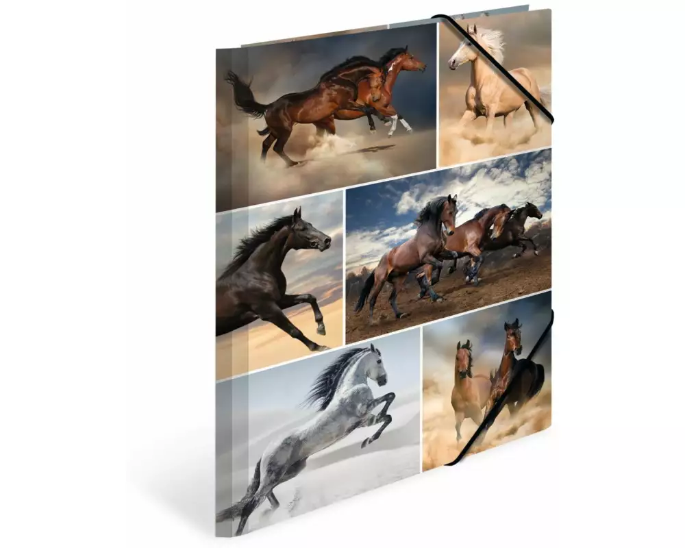 HERMA Gummibandmappe A4 Pferde, Karton, mit Innendruck