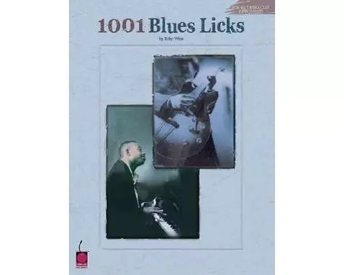 1001 Blues Licks