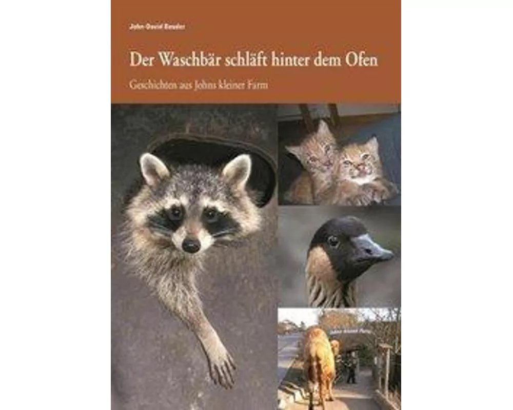 Der Waschbär schläft hinter dem Ofen