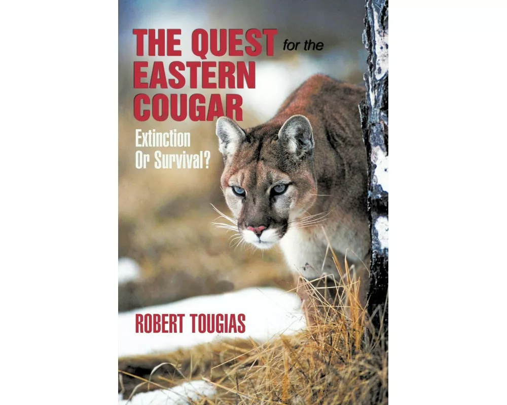 The Quest For The Eastern Cougar