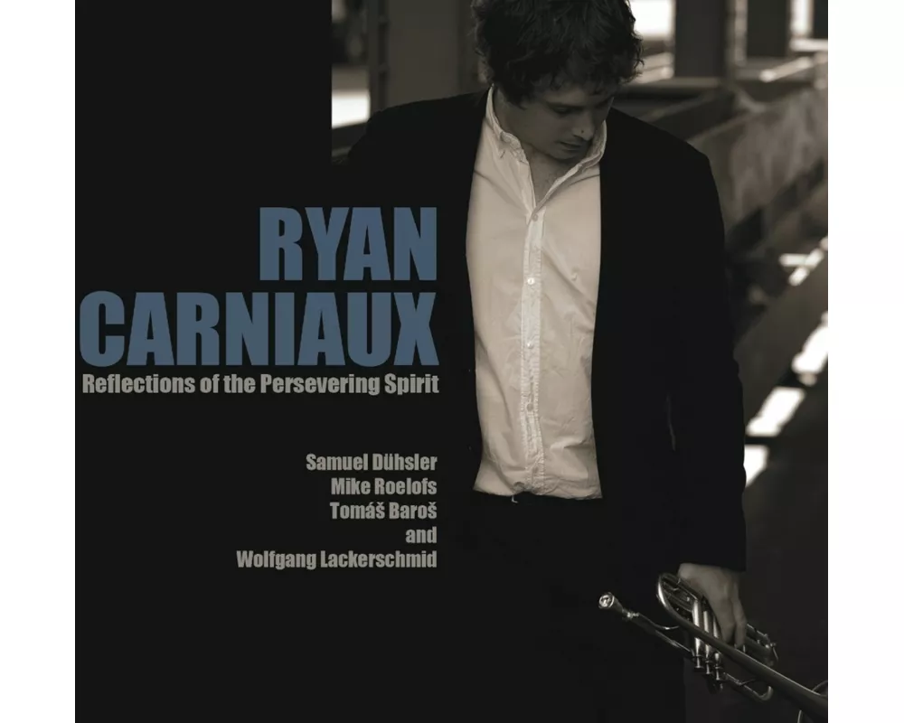 Reflections of the Persevering Spirit