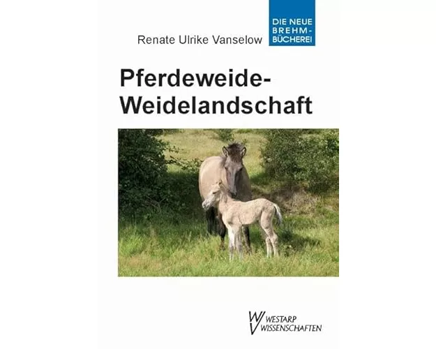 Pferdeweide-Weidelandschaft