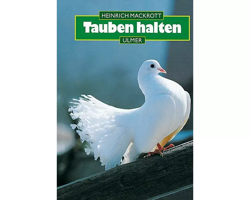 Tauben halten