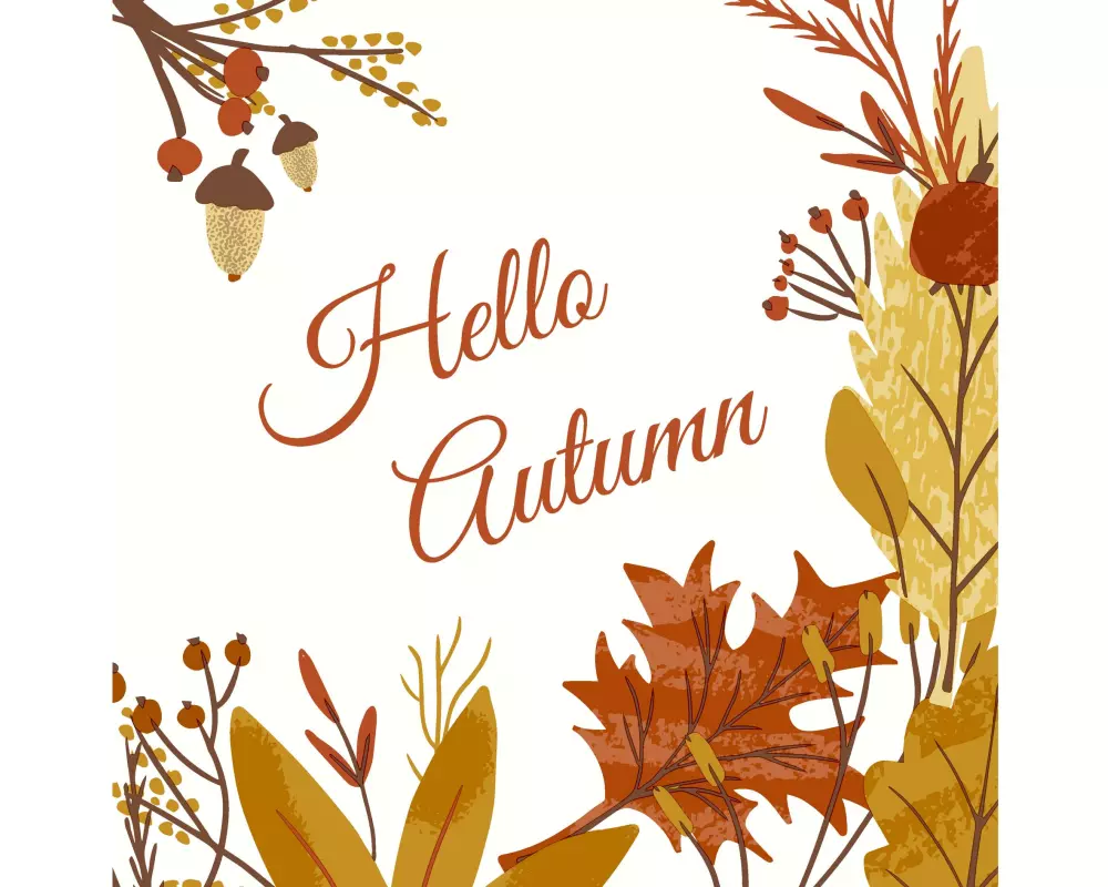 Paper + Design Servietten Hello Autmn 33 cm x 33 cm, 20 Stück