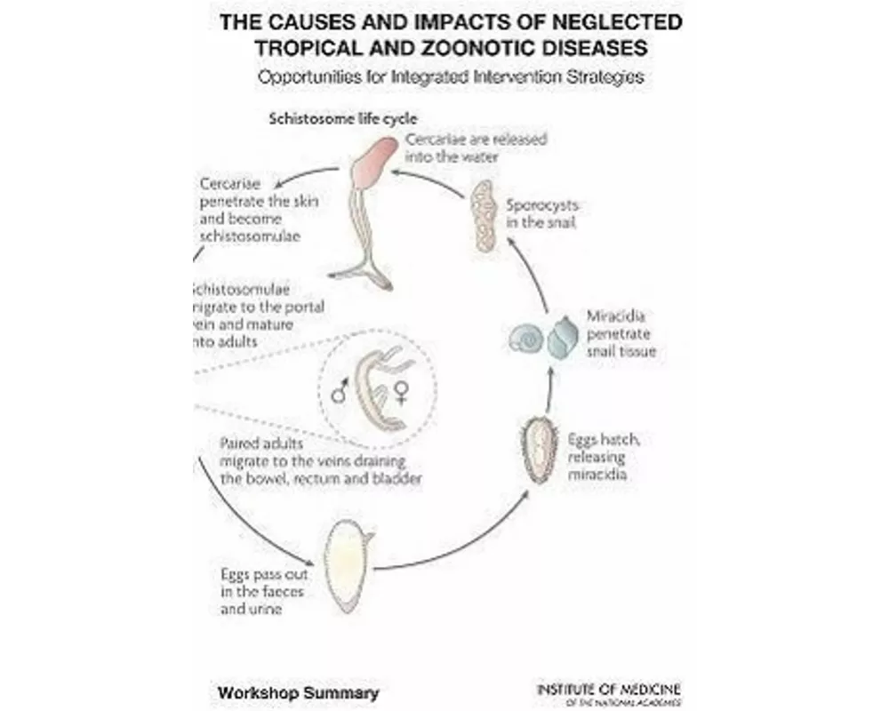 The Causes and Impacts of Neglected Tropical and Zoonotic Diseases