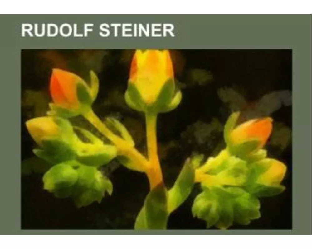 Rudolf Steiner