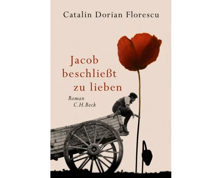 Jacob beschliesst zu lieben