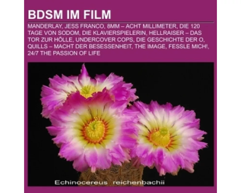 BDSM im Film