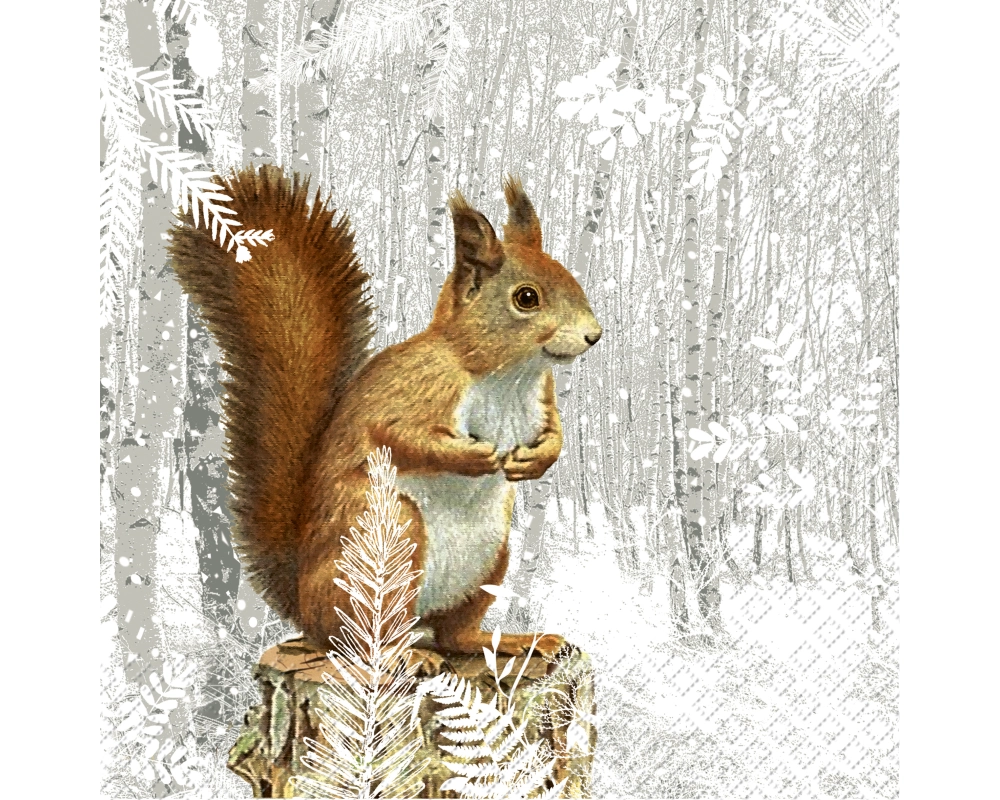 STEWO Serviette 2572536455 Justus 166 x 168 mm