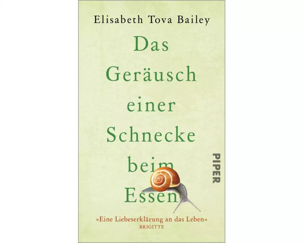 Das Geräusch einer Schnecke beim Essen