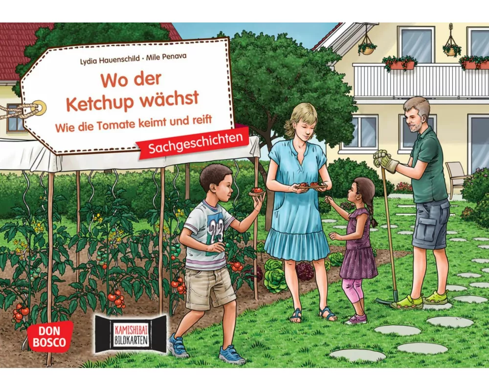 Wo der Ketchup wächst. Wie die Tomate keimt und reift. Kamishibai Bildkartenset