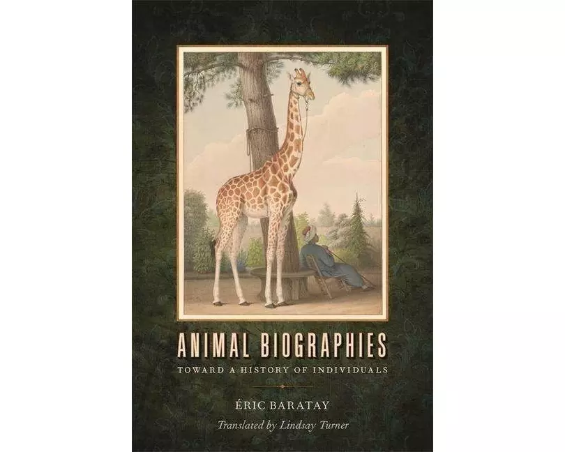 Animal Biographies