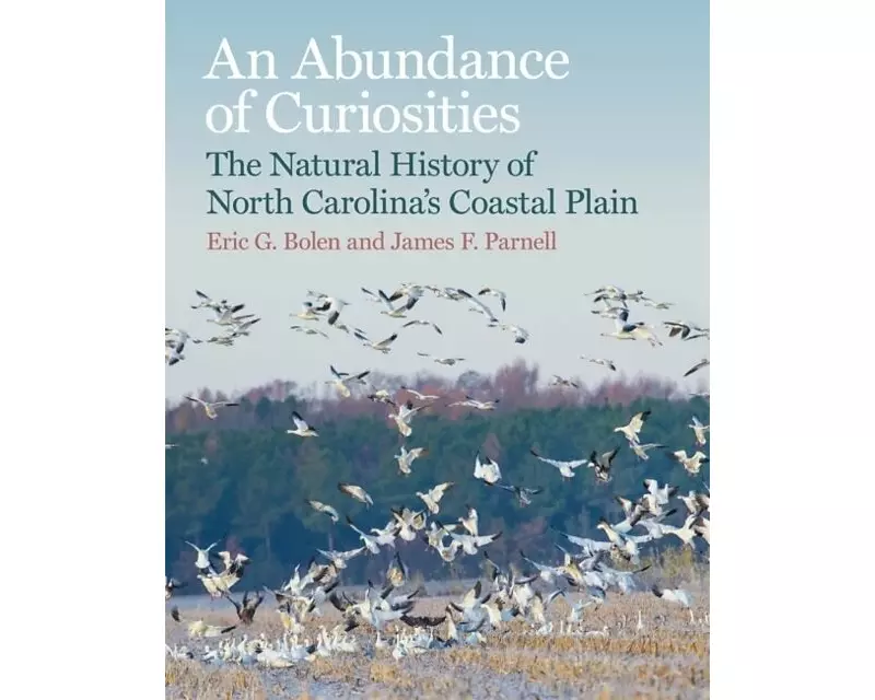 An Abundance of Curiosities