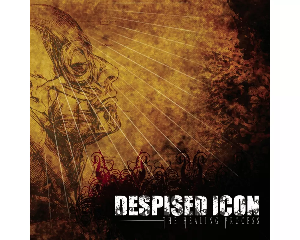 The Healing Process (Alternate Mix-Re-issue+Bo