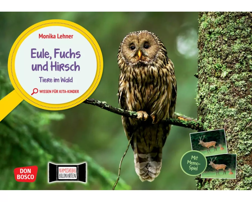Eule, Fuchs und Hirsch. Tiere im Wald