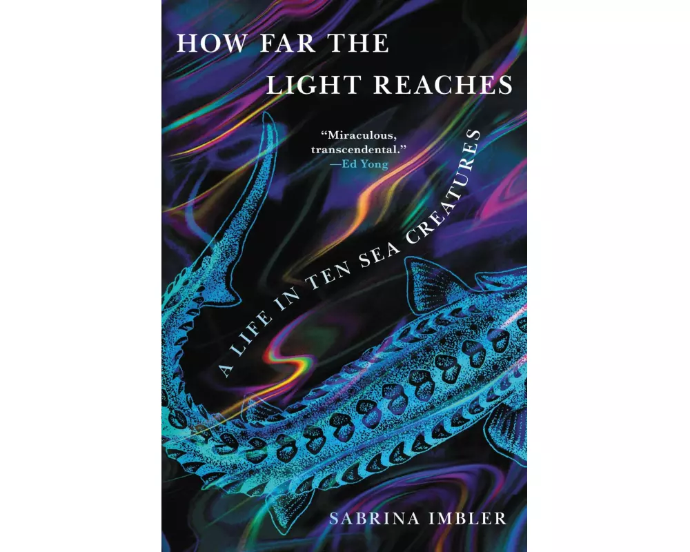 How Far the Light Reaches