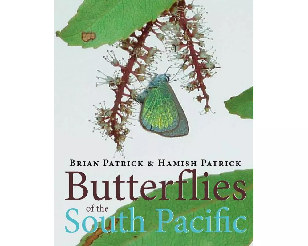 Butterflies of the South Pacific