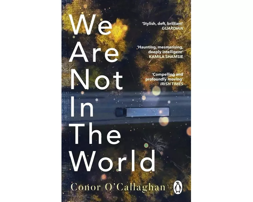 We Are Not in the World