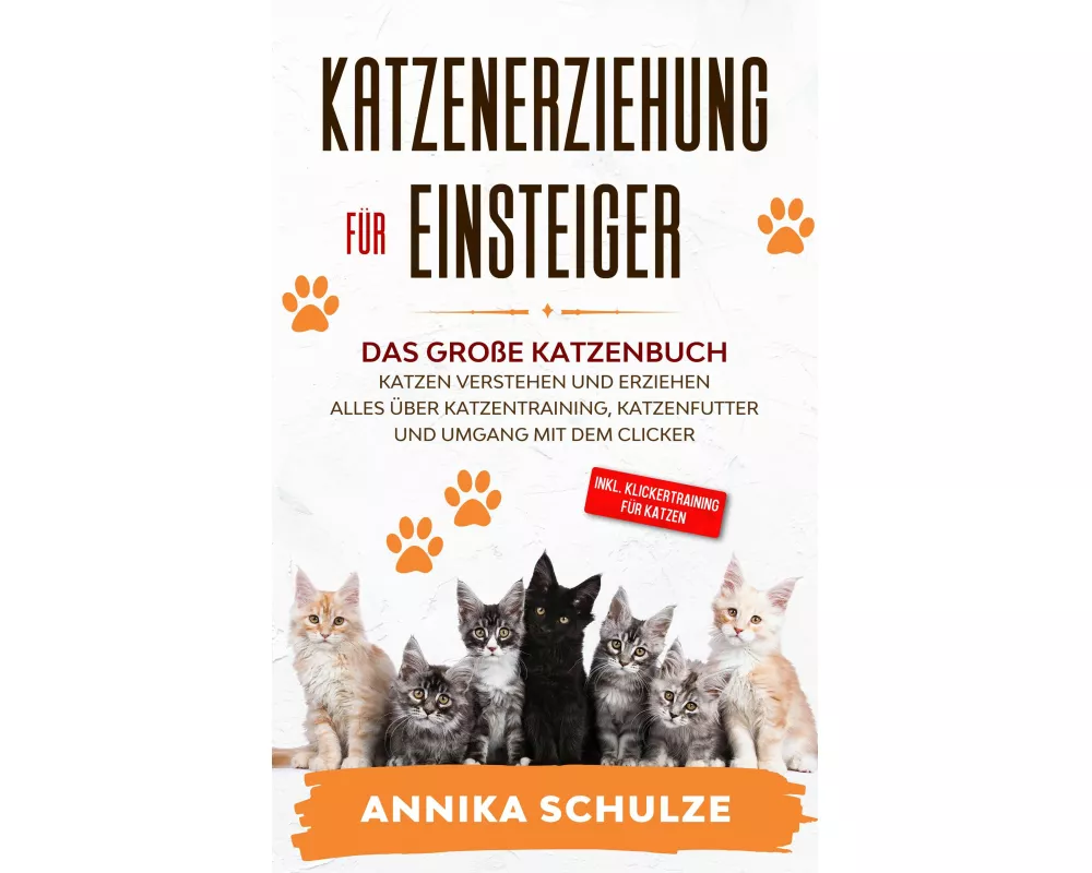 Katzenerziehung für Einsteiger
