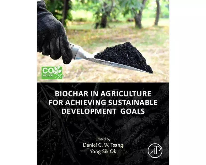Biochar in Agriculture for Achieving Sustainable Development Goals