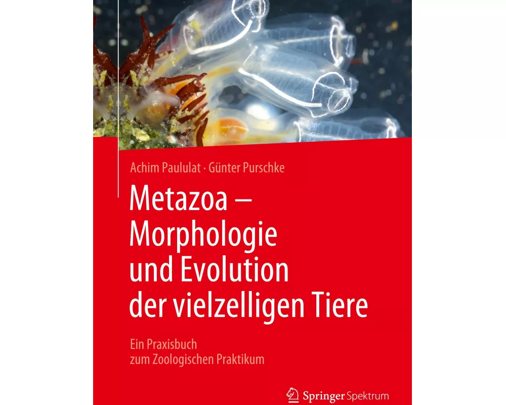 Metazoa - Morphologie und Evolution der vielzelligen Tiere