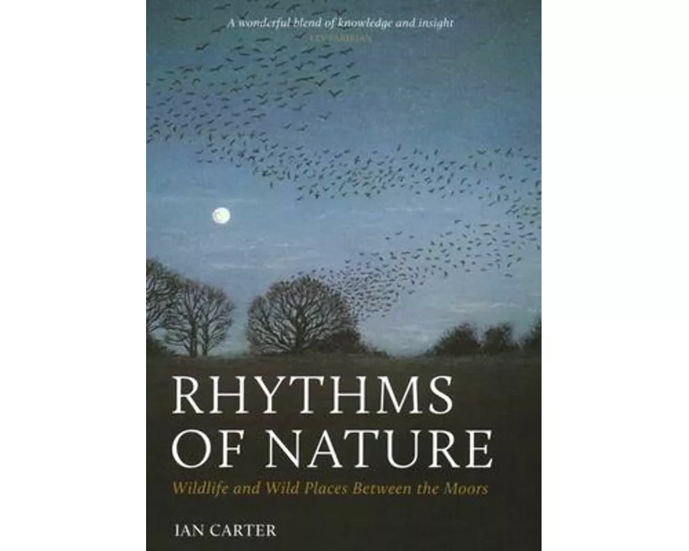 Rhythms of Nature