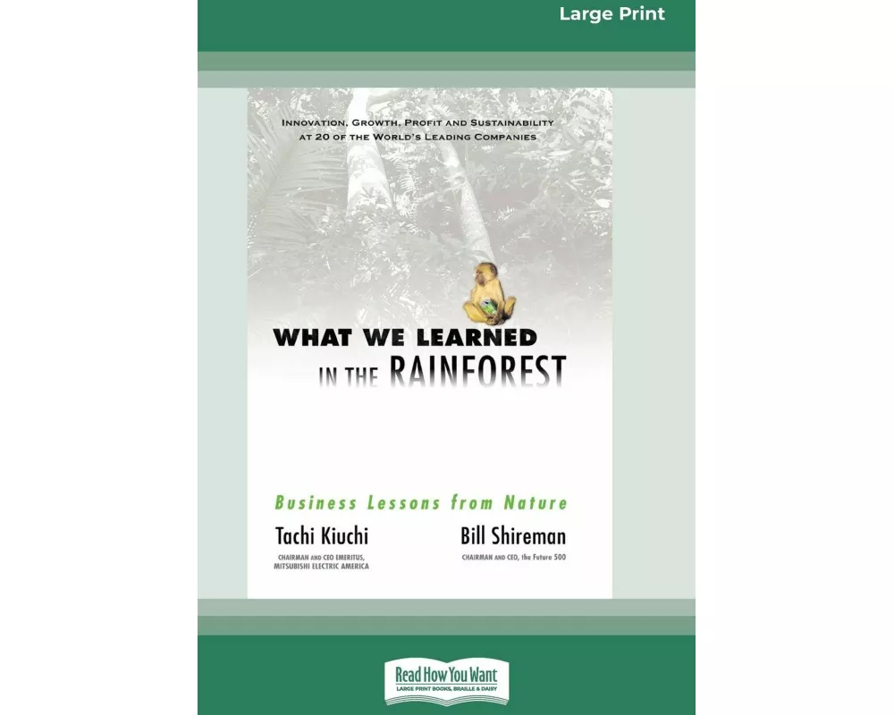 What We Learned in the Rainforest