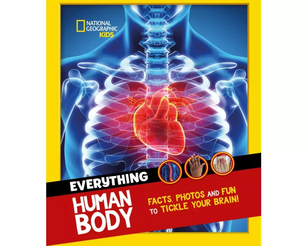 Everything: Human Body