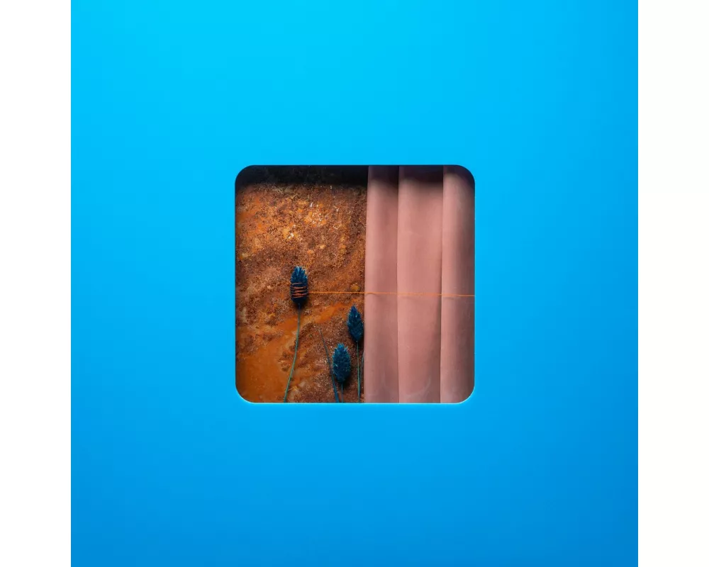 Victim Of A Modern Age