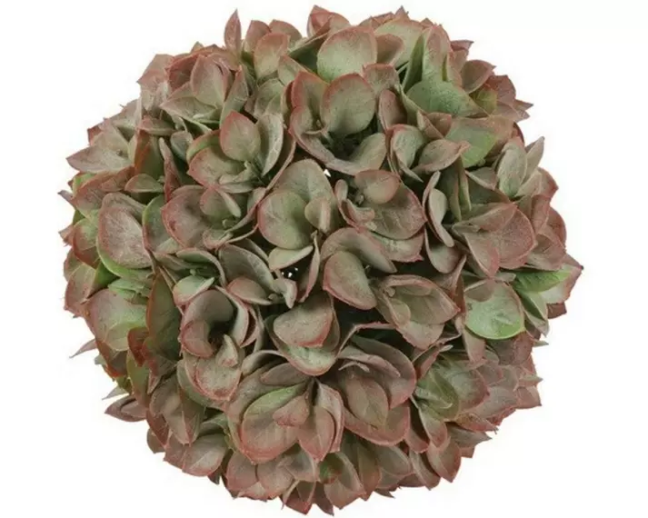 CHALET Eukalyptus Kunstkugel M , Grün