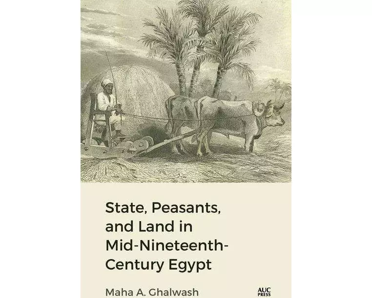 State, Peasants, and Land in Mid-Nineteenth-Century Egypt