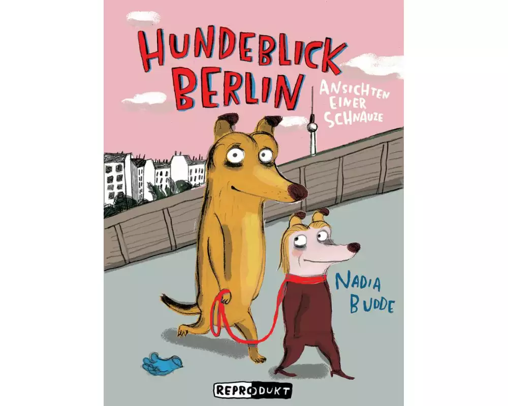 Hundeblick Berlin