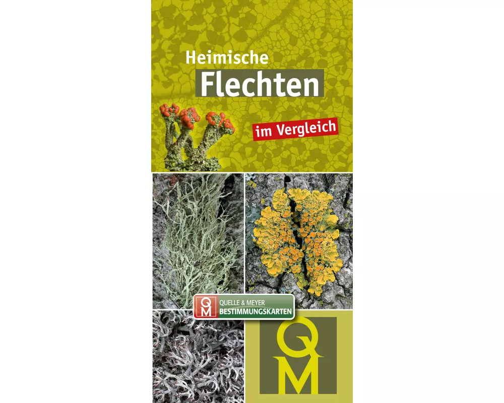 Heimische Flechten