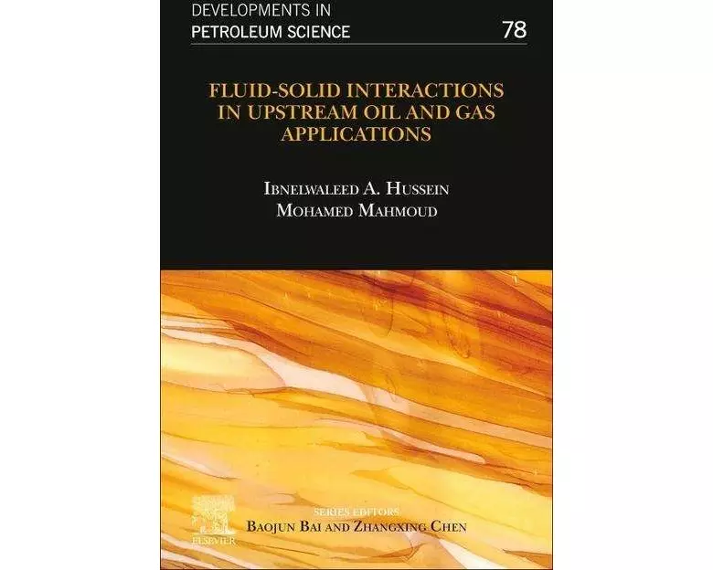 Fluid–Solid Interactions in Upstream Oil and Gas Applications: Volume 78